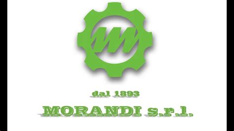 morandi srl modena